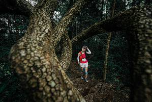 BIB: 
                            <button type="button" onclick="openModal(25700116)" class="btn btn-primary btn-sm float-right btn-popup" data-toggle="modal" data-target=".modal-high-quality">
                        <i class="fas fa-shopping-cart"></i> Add to Cart
                    </button>
                                            <button type="button" onclick="isThisMe(25700116, true)" class="btn btn-success btn-sm float-right btn-popup btn-isme hidden" data-toggle="tooltip" data-placement="bottom" title="นี่คือรูปของคุณใช่ไหม คลิกที่นี่เพื่อเอาเข้าอัลบั้ม">
                        <i class="fas fa-plus"></i> Add to album
                    </button>
                    <button type="button" onclick="isThisMe(25700116, false)" class="btn btn-warning btn-sm float-right btn-popup btn-isnotme hidden">
                        <i class="fas fa-ban"></i> Remove from album
                    </button>